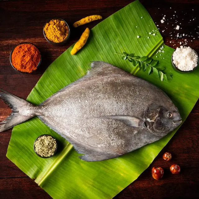 Halwa/Black Pomfret 