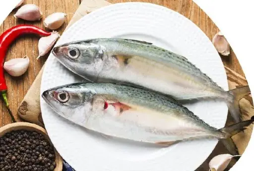 Mackerel/Bangda 
