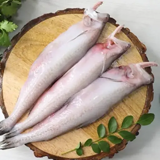 Bombil/Bombay Duck 