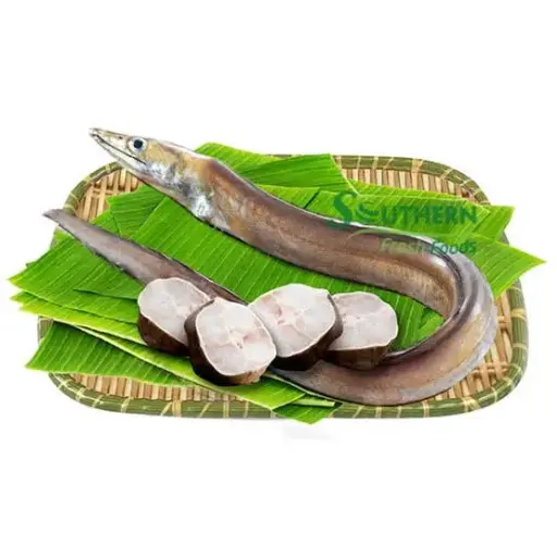Eel/Vam