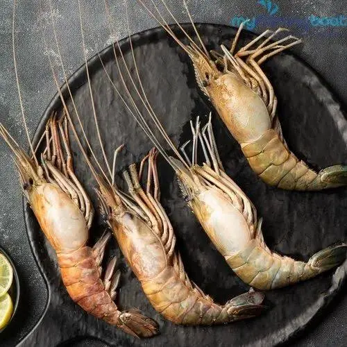 Large Prawns 25-35pc