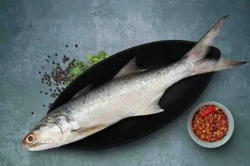 Rawas/Indian Salmon 