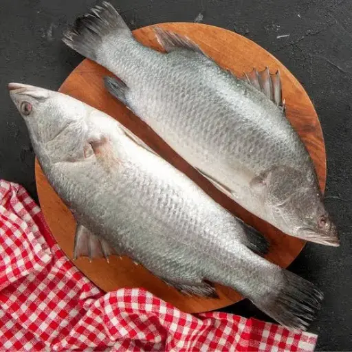 Asian Seabass 
